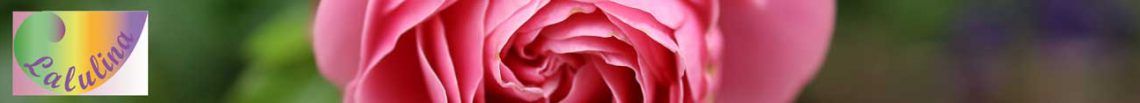 Lalulina Banner mit Logo